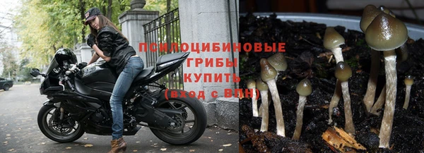 метамфетамин Аркадак