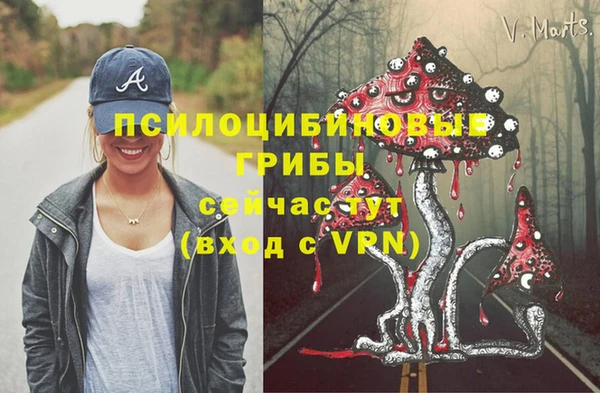 МДМА Армянск